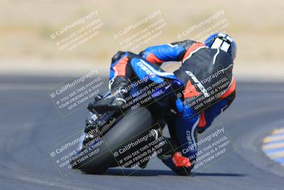 media/May-13-2023-SoCal Trackdays (Sat) [[8a473a8fd1]]/Turn 11 Backside (945am)/